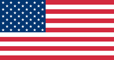 logo us flag